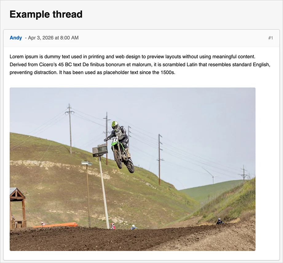 Andy Export thread-2.webp